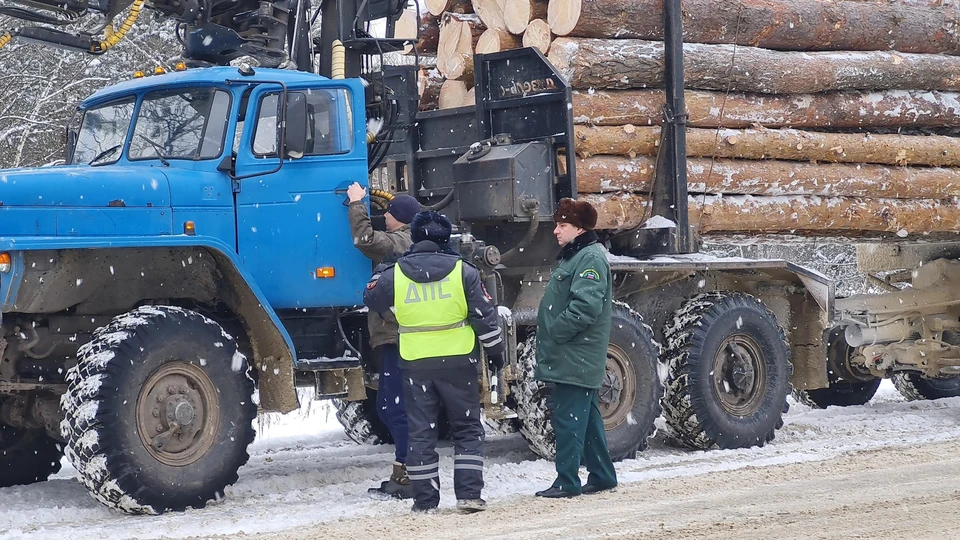 В Ульяновской области стартовала акция «Лес» по поимке незаконных лесорубов | ФОТО: минприроды Ульяновской области