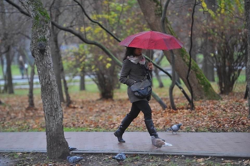 Жителям Кубани пора доставать теплые вещи и зонты.