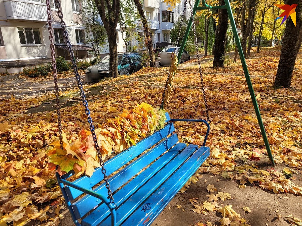 Вакансии в Беларуси, работа в Беларуси, зарплата в Беларуси: последние  новости на 20 ноября 2023 - KP.RU