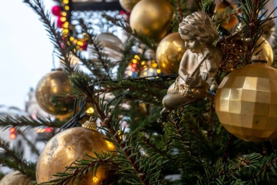 Иркутск отправил подшефному городу Кировску в ЛНР 14-метровую новогоднюю елку