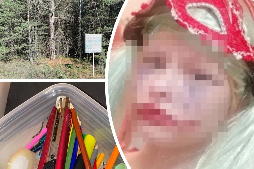 Семиклассница спланировала нападение на 13-девочку в лесу. Фото: Никита МАНЬКО/ СУ СКР по Новосибирской области/ соцсети.