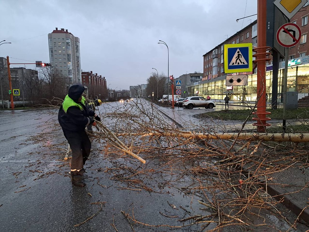 Сорванные крыши, перевернутые остановки, оборванные провода: последствия  ураганного ветра в Кузбассе - KP.RU