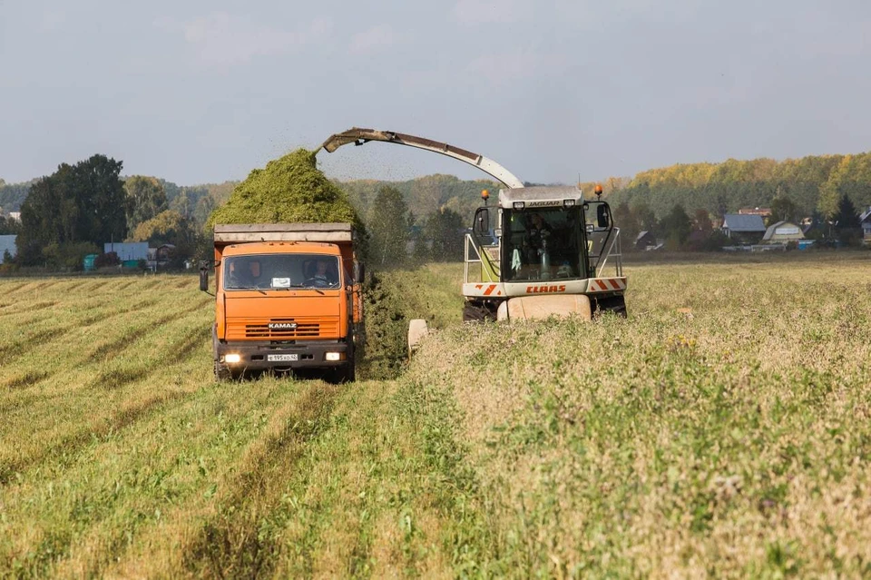Сельское хозяйство Кузбасс отцифруют. Фото - пресс-служба АПК.