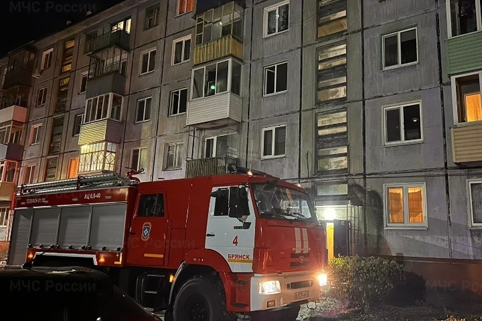 Фото: пресс-служба ГУ МЧС России по Брянской области.