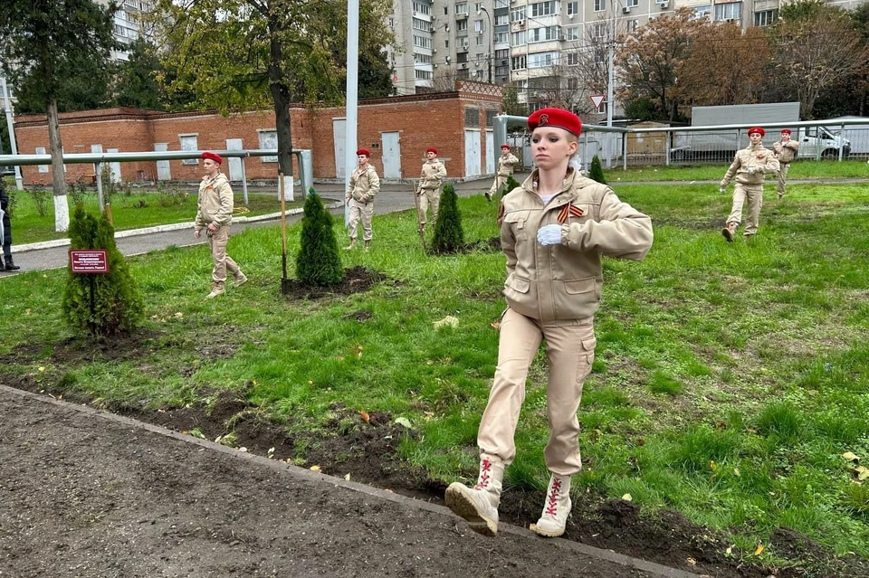 Аллею Героев заложили в школе №32 Краснодара Фото: пресс-служба администрации Краснодара