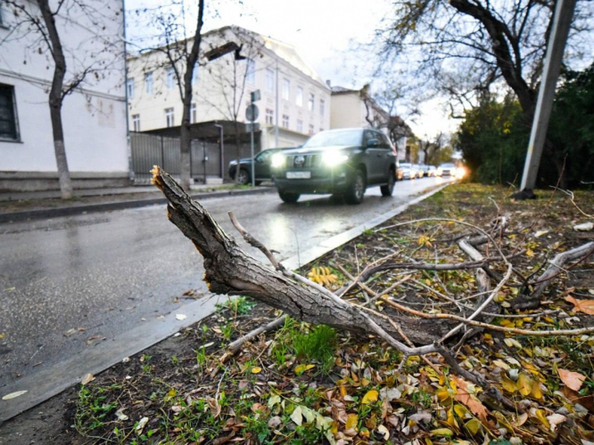 В Севастополе ожидается очень сильный ветер и обильные осадки - KP.RU