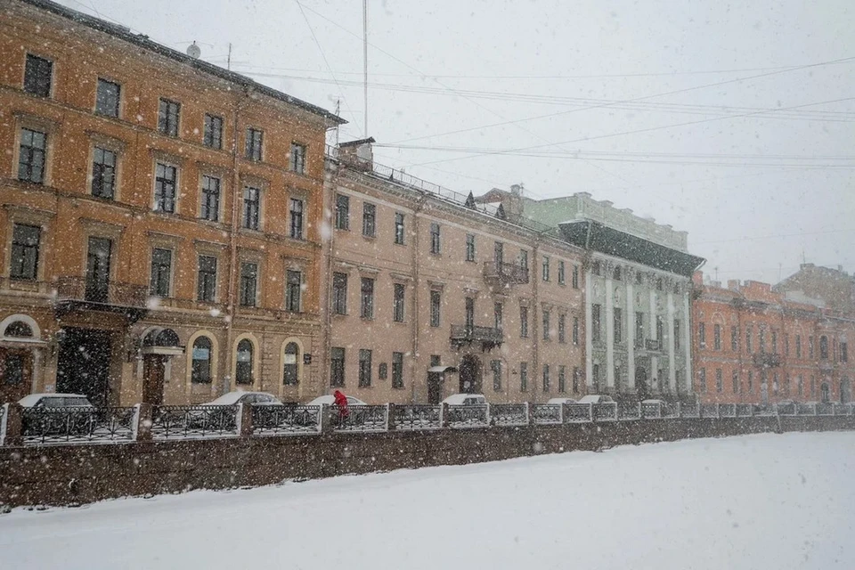 Сильный ветер и снегопад ожидаются в Петербурге 27-28 ноября.