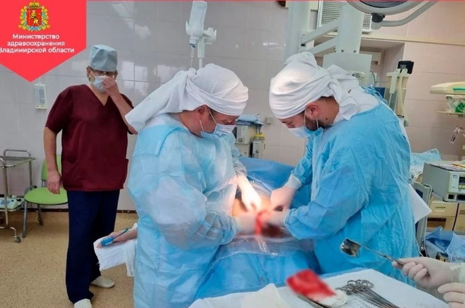 Болезни американского булли