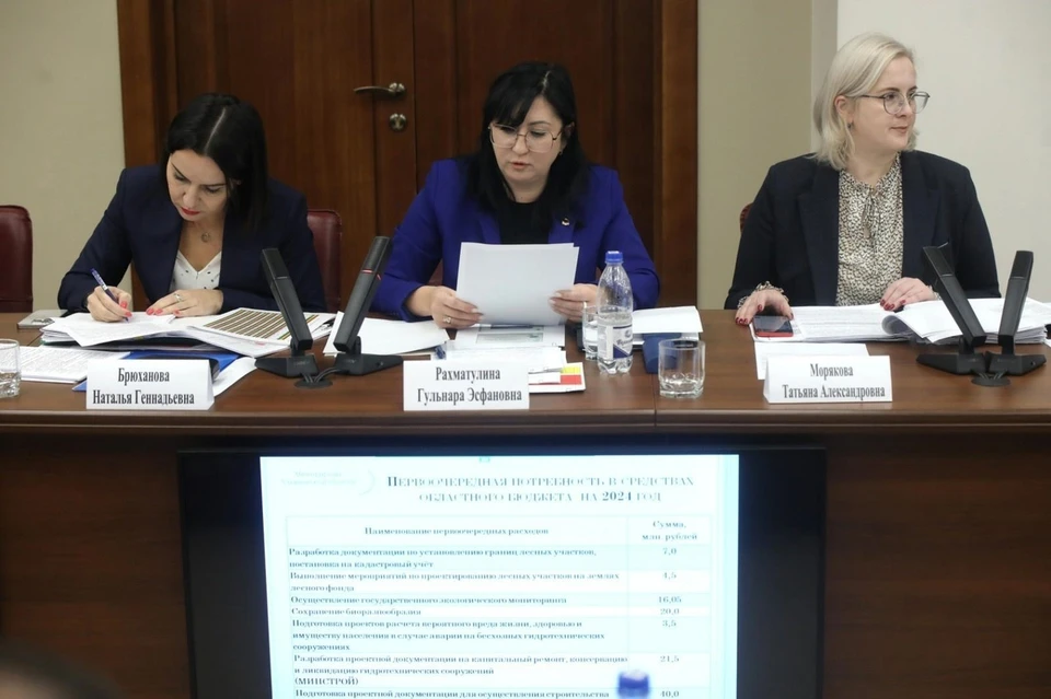 Глава минприроды Ульяновской области доложила о бюджете на 2024 год. ФОТО: минприроды УО