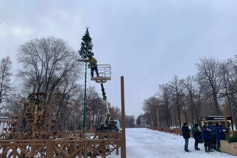 Работы по оформлению парковых территорий планируют завершить к 15 декабря. / Фото: администрация Самары