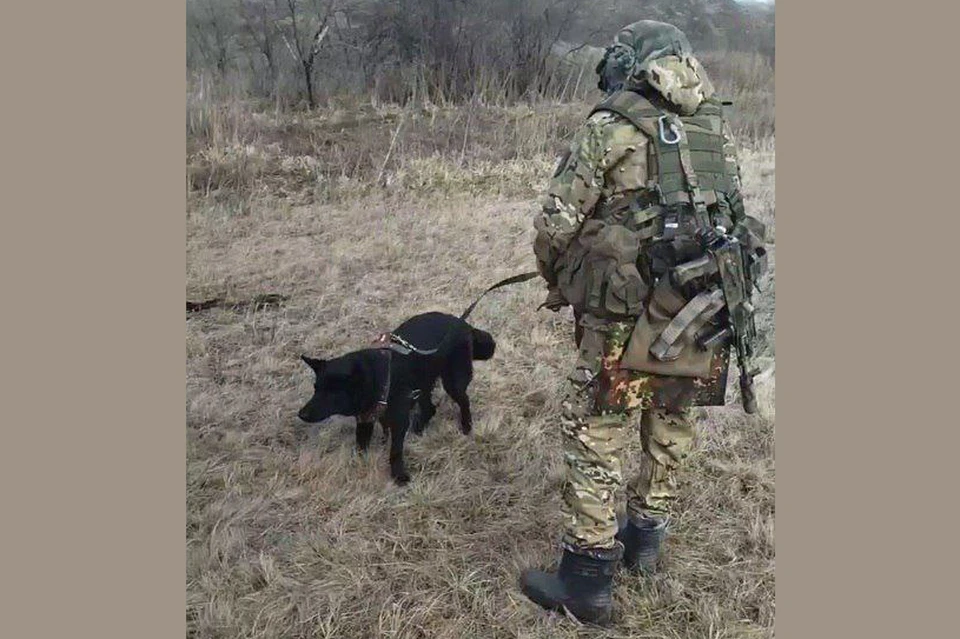 Овчарка из Кузбасса обнаружила четыре взрывных устройства в зоне СВО.