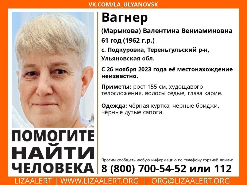 В селе Подкуровка Ульяновской области несколько дней ищут пропавшую местную жительницу. Фото соц сети "Лиза Алерт"