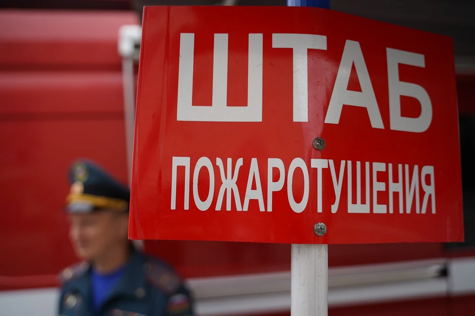 В ульяновской области подвели итоги лесопожарного сезона