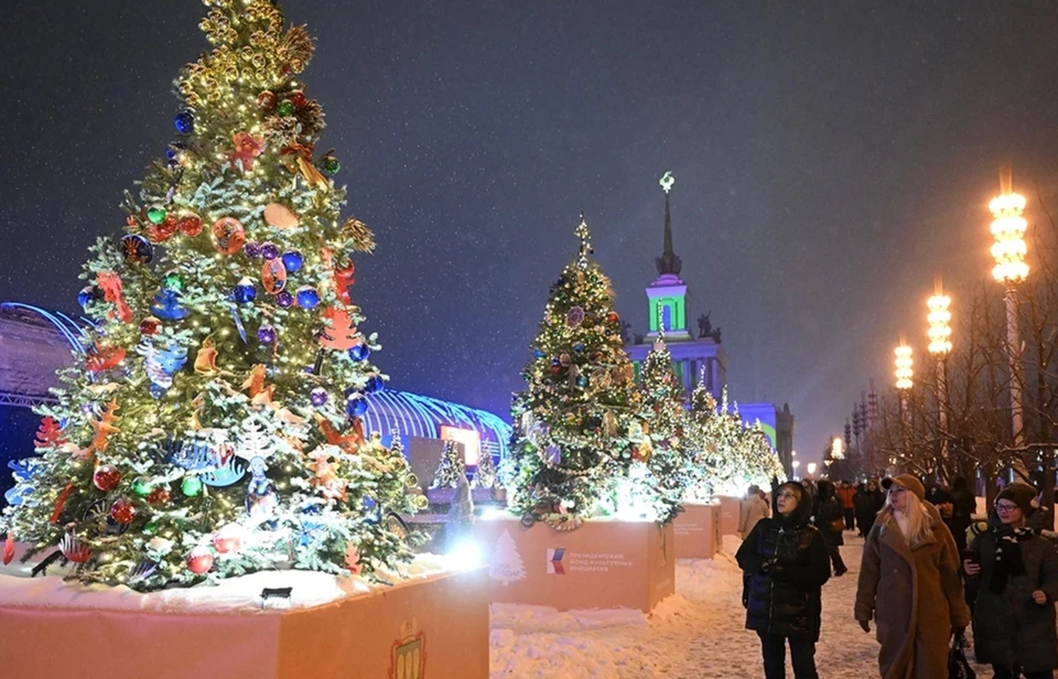 На первых новогодних елях России на ВДНХ засияли яркие огни. Фото: Илья Питалев/Фотохост-агентство РИА Новости