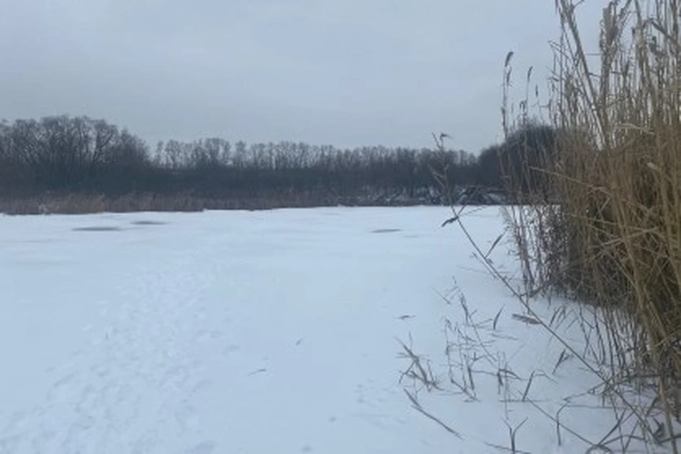 Фото: пресс-служба регионального СК