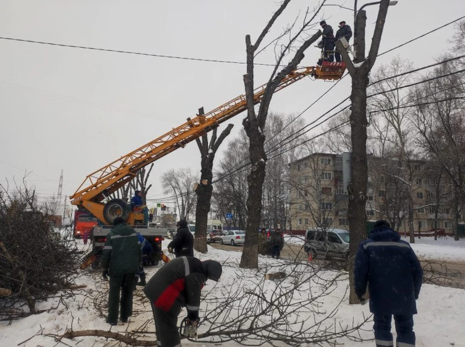 Ульяновские озеленители провели обрезку разросшихся деревьев на улице Камышинской. Фото администрация Ульяновска