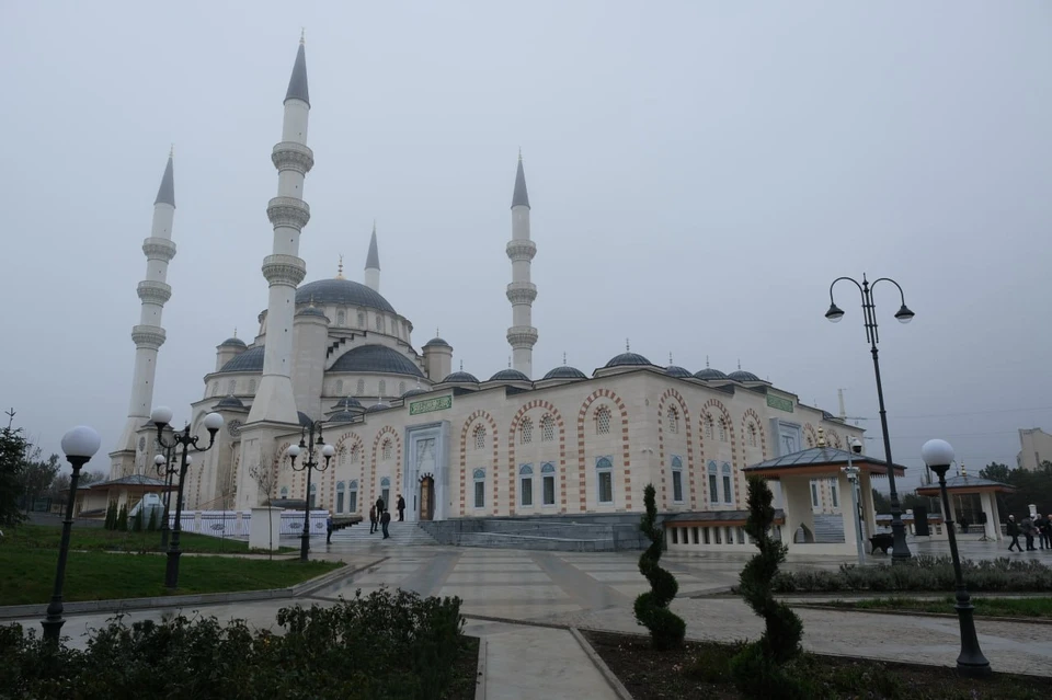 Фото: пресс-служба АйСи Групп