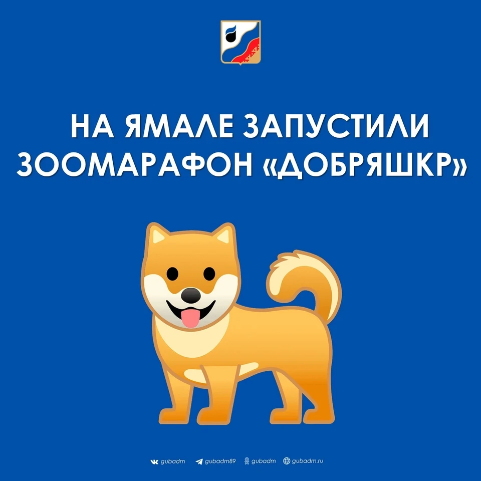 Фото: администрация Губкинского