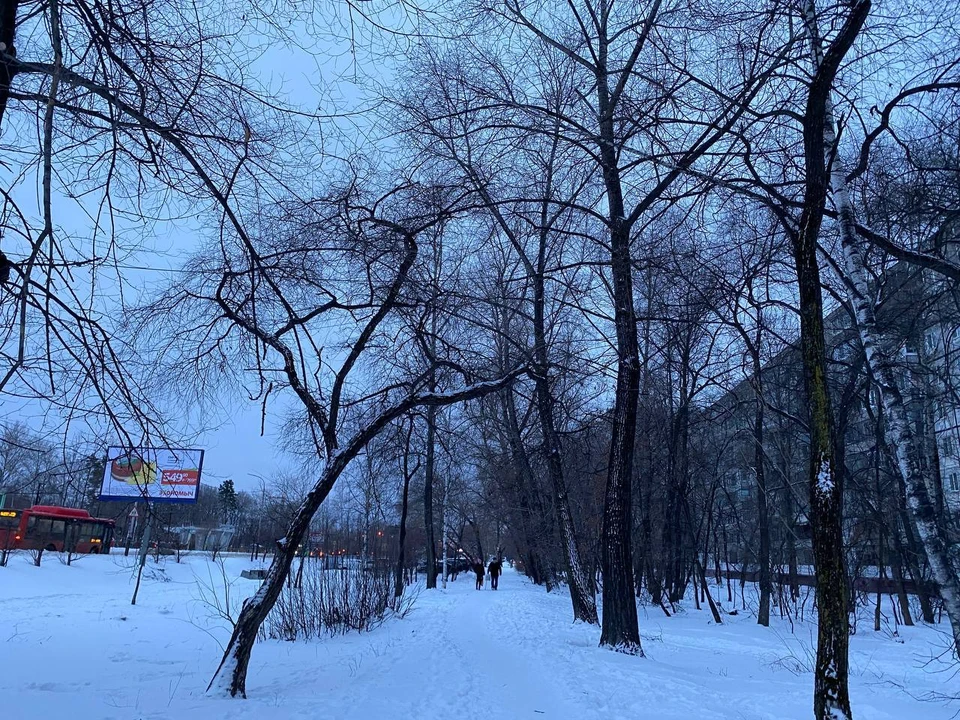 Сильные морозы ударят по Хабаровскому краю ночью 14 декабря