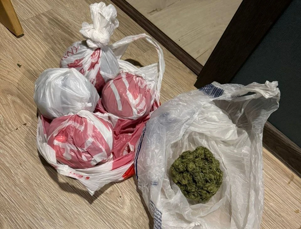 Запрещенные вещества изъяты. Фото: 92.мвд.рф