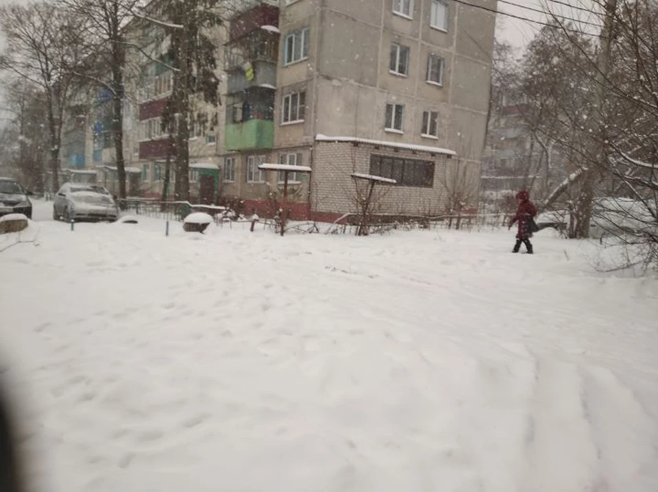 Курян призывают выйти на уборку снега