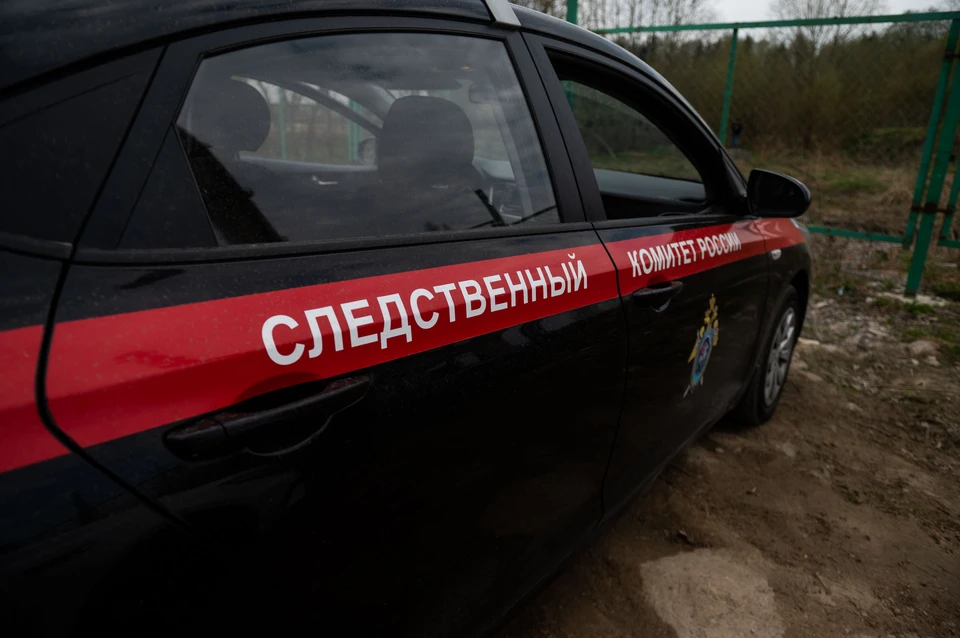 Уголовное дело возбудили из-за рухнувшей на коляску с малышом глыбы льда в Петербурге.