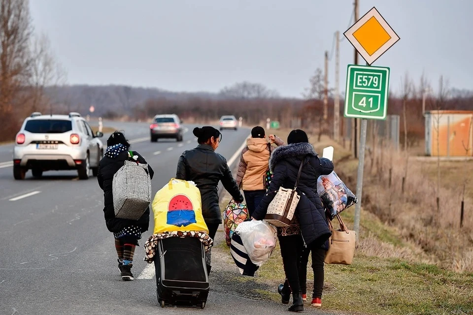 Политолог Косоруков: украинские беженцы готовы лишиться ВНЖ, но не идти в ВСУ