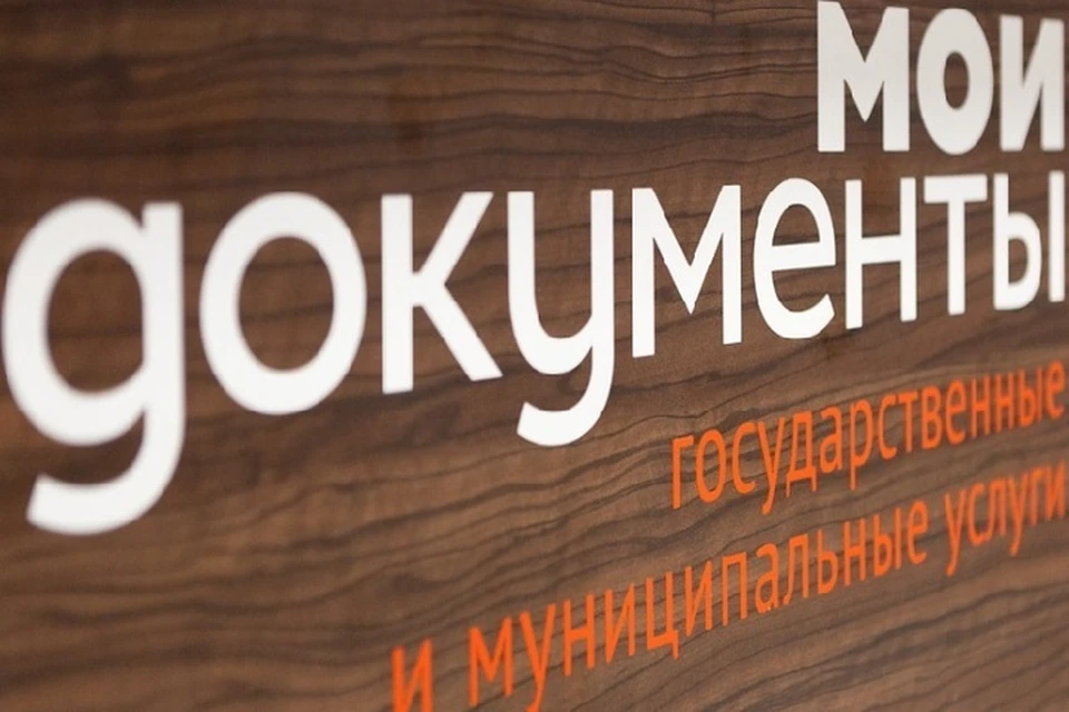 В ДНР начнут бесплатно выезжать сотрудник МФЦ с консультациями. Фото: МФЦ ЛНР
