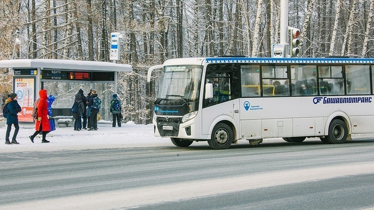 В новогоднюю ночь 31 декабря в Уфе продлят работу шести маршрутов  общественного транспорта - KP.RU