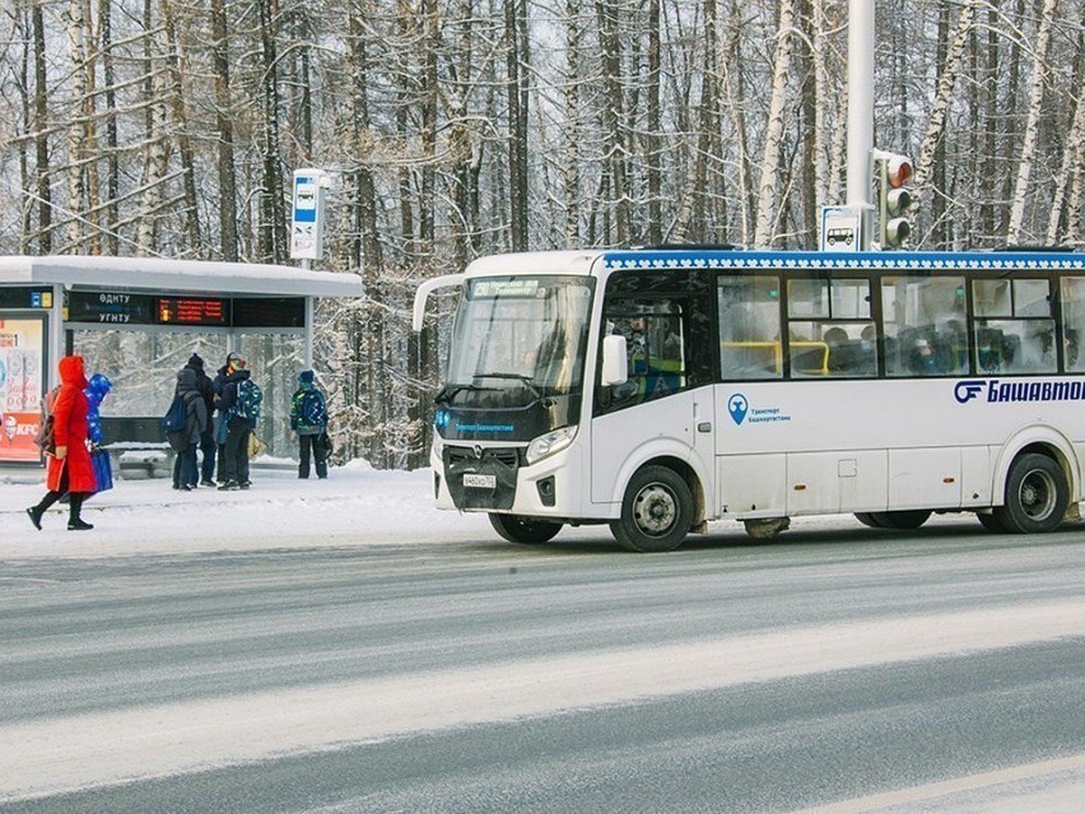 В новогоднюю ночь 31 декабря в Уфе продлят работу шести маршрутов  общественного транспорта - KP.RU