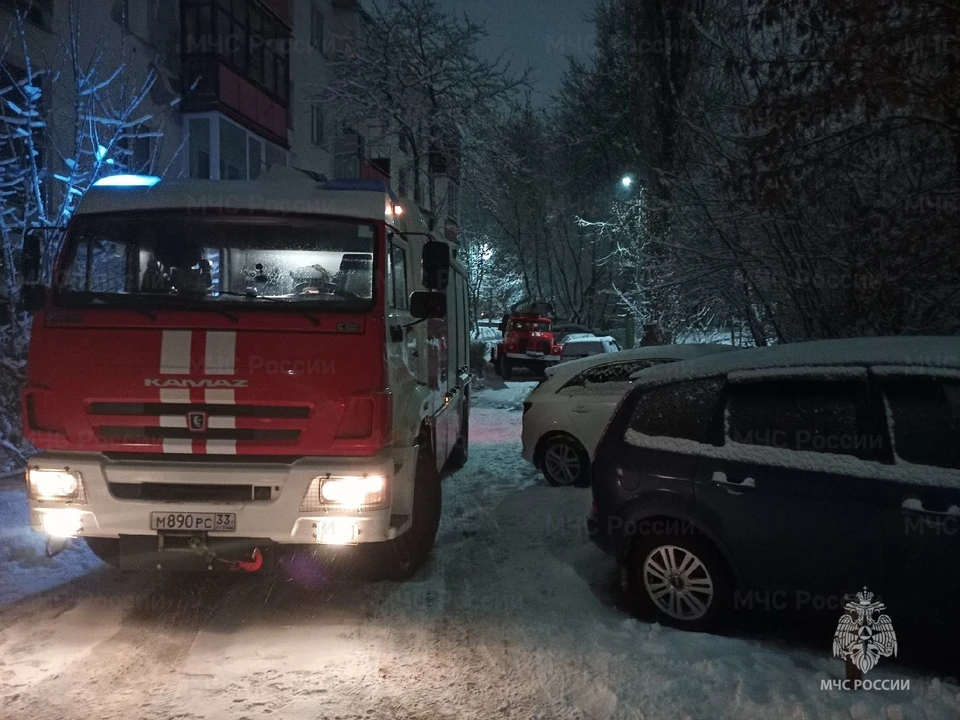 Фото: ГУ МЧС России по Владимирской области