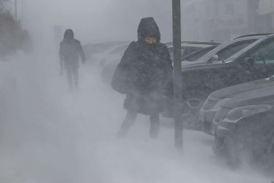 Жителей Новосибирска предупредили о сильном ветре и метели 29 декабря.