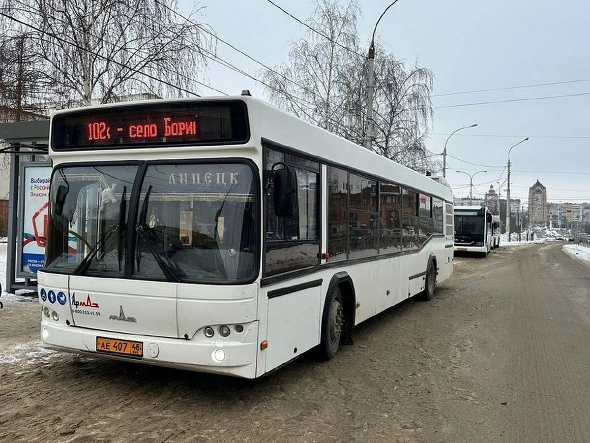 В Липецкой области обновили новогодний график рейсов для 101 районного  автобуса - KP.RU