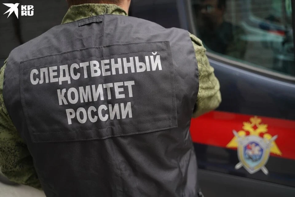 СК РФ: Мотивом убийства Романа Легойды стала кража у него 100 тысяч рублей