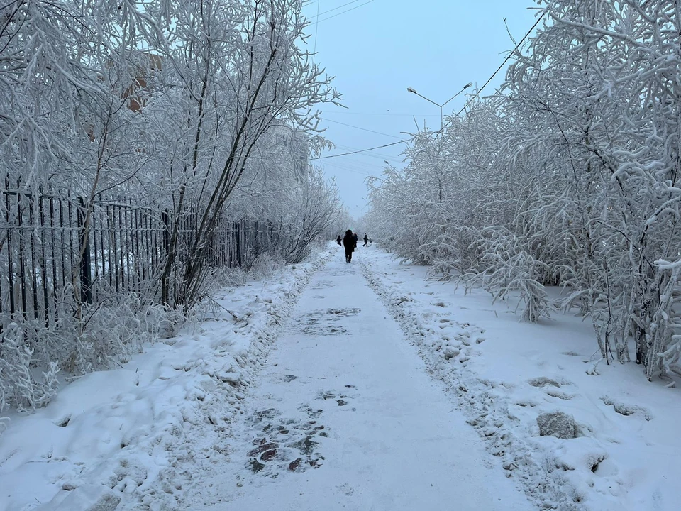 Прогнозируется северный ветер 2-5 м/с. Фото: KP.RU