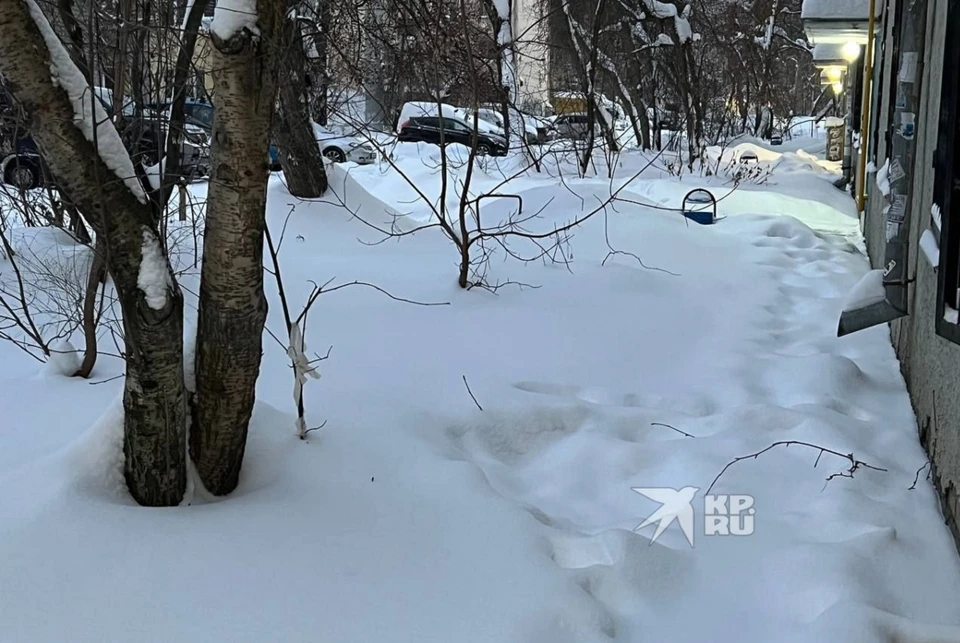 Полицейские обнаружили тело годовалой девочки 3 января