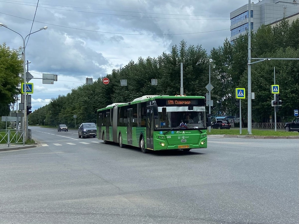 Жители тюменского села Бердюжье остались без автобуса из-за смены  перевозчика - KP.RU