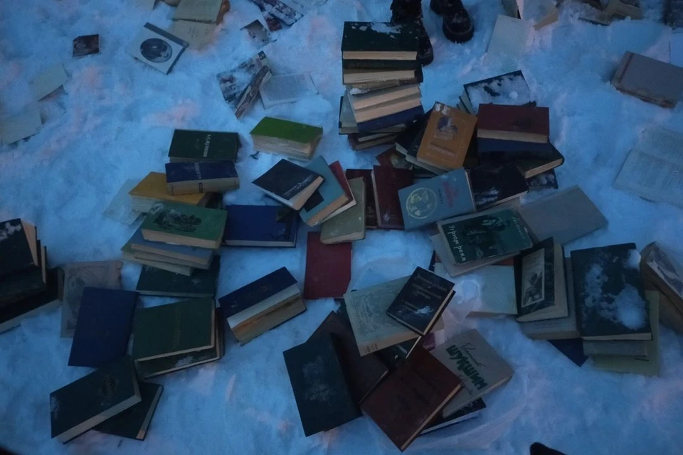 Жительница Новосибирска нашла книги под окнами многоэтажки. Фото: предоставлено Надеждой