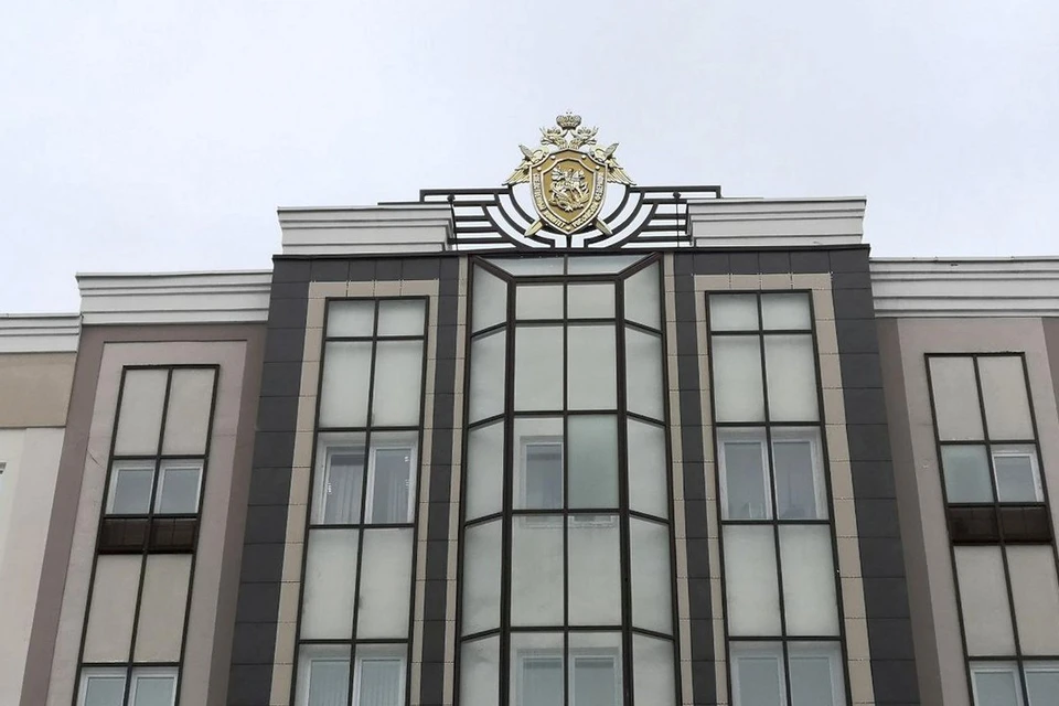 В Липецке будут судить подростка и 21-летнего парня за грабеж