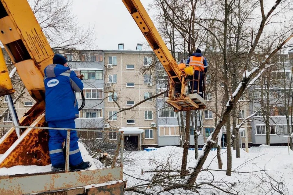 В Липецке начали сносить аварийные растения
