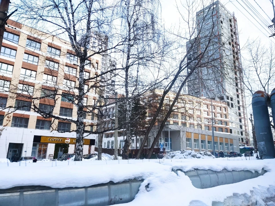 Фото: Анна КОВАЛЕВА