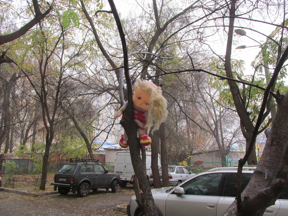 Фото Елены Федяшевой