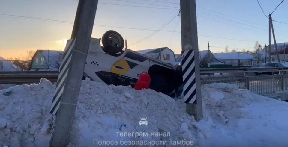 Водитель пытался избежать наезда на собаку