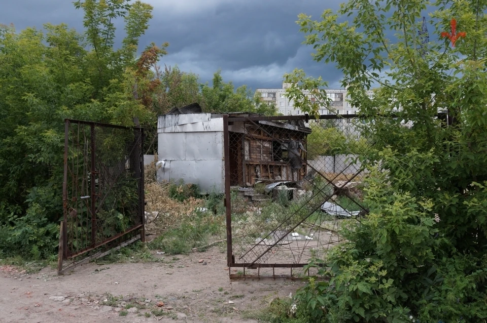 Фото Алексадра Грасса.