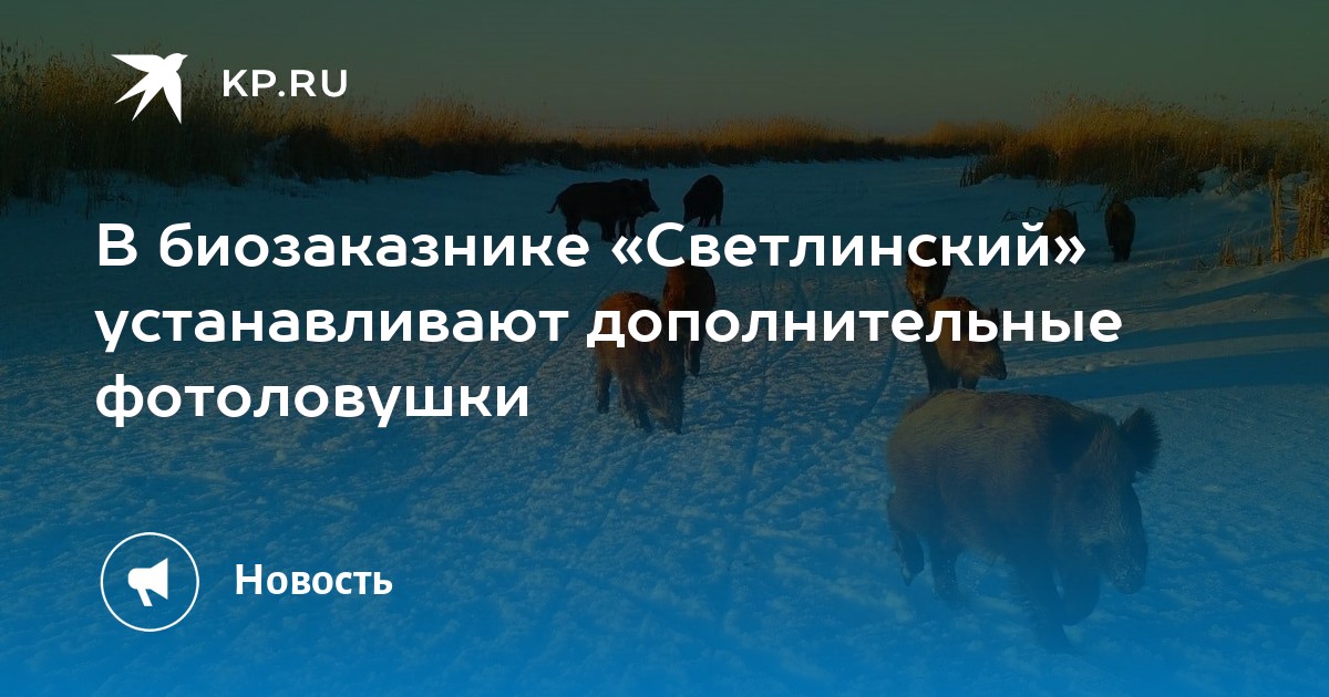 Установка дополнительных видов. Установка дополнительных видов