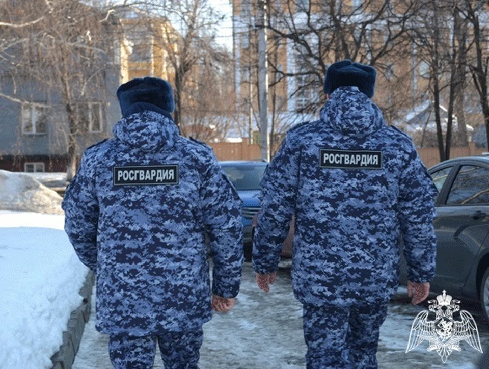 В Ульяновске во время драки в Молочном переулке задержали трех дебоширов | ФОТО: Управление Росгвардии по Ульяновской области