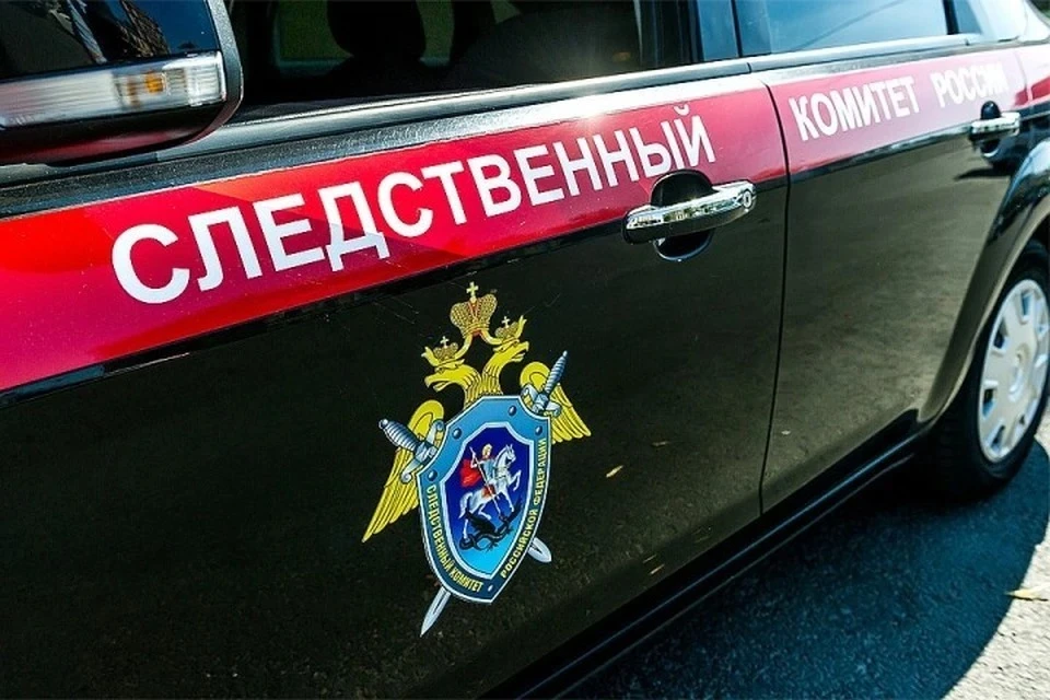 СКР возбудил дело против жительницы Кузбасса за истязание годовалой дочери