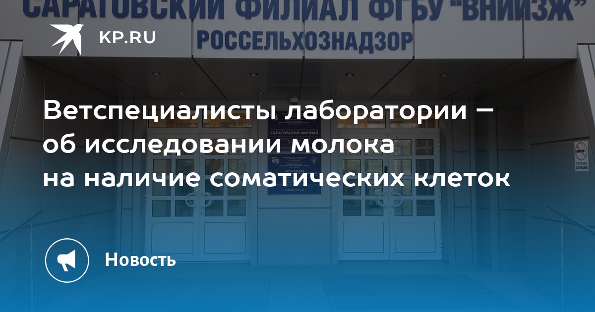 экономическая культура личности. экономический интерес стремление. культура экономических исследований. методы исследования экономических процессов кратко. экономические интересы.