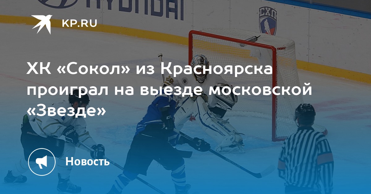 Сокол звезда прогноз. Сокол звезда прогноз