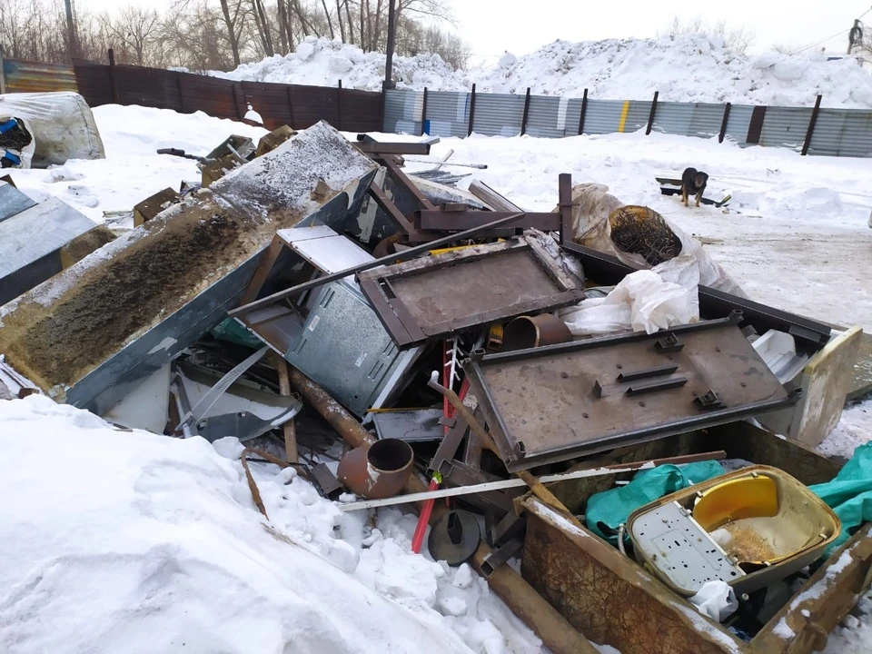 Фото: УМВД по городу Челябинску